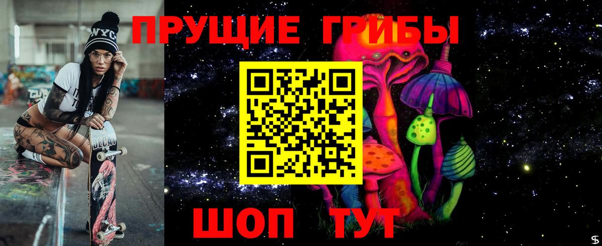 Псилоцибиновые грибы Psilocybine cubensis Калач-на-Дону