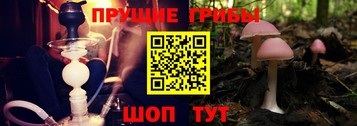 Калач-на-Дону  Галлюциногенные грибы MAGIC MUSHROOMS  Вход с VPN 
